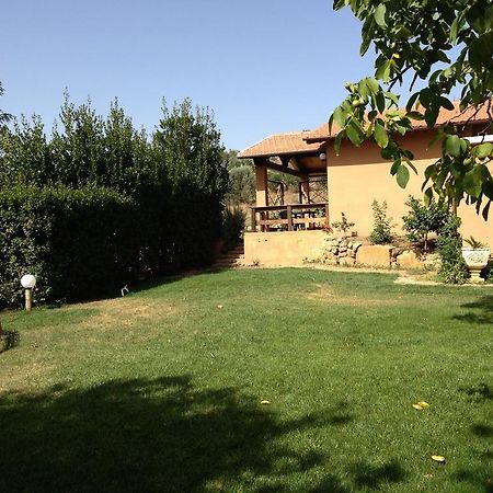 Agriturismo San Mauro Capalbio Zewnętrze zdjęcie