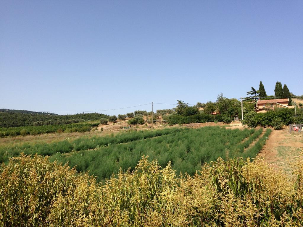Agriturismo San Mauro Capalbio Zewnętrze zdjęcie
