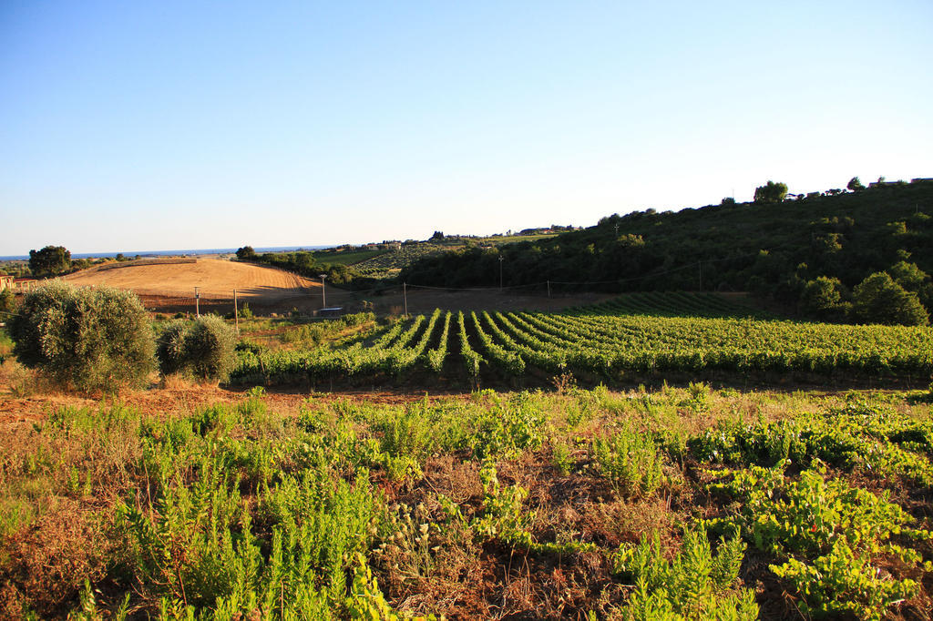 Agriturismo San Mauro Capalbio Zewnętrze zdjęcie