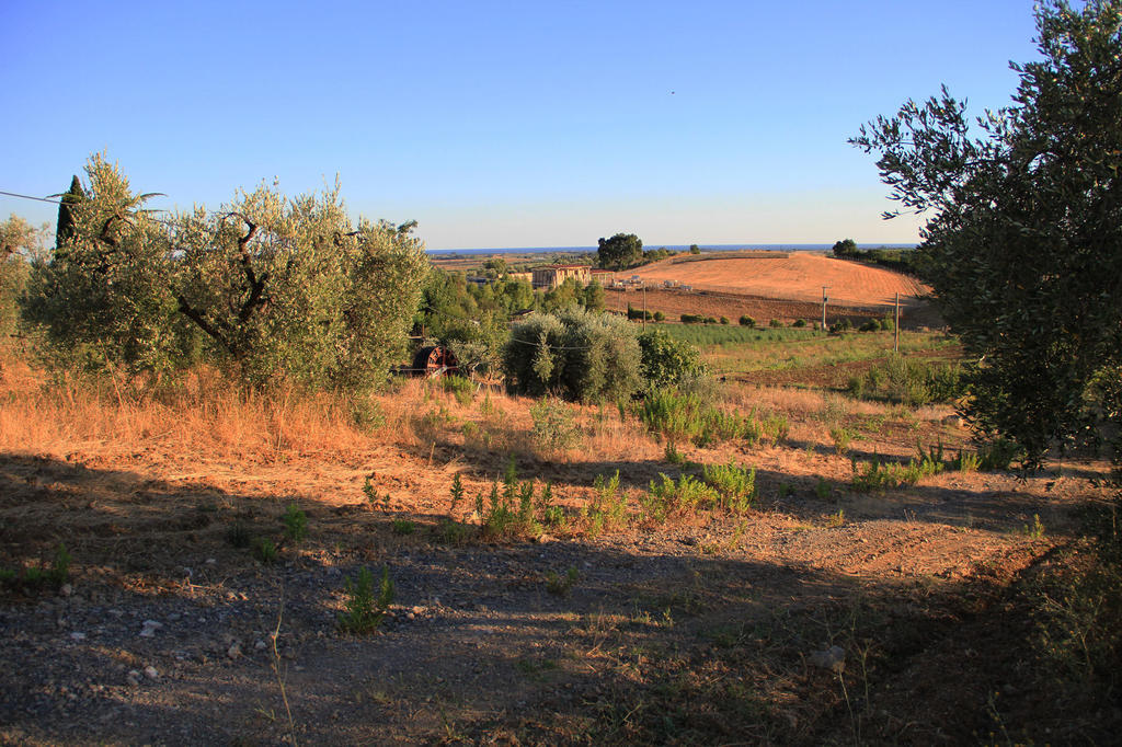 Agriturismo San Mauro Capalbio Zewnętrze zdjęcie